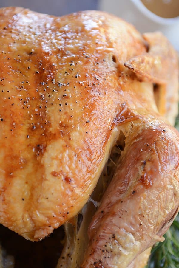 A golden brown roasted turkey.