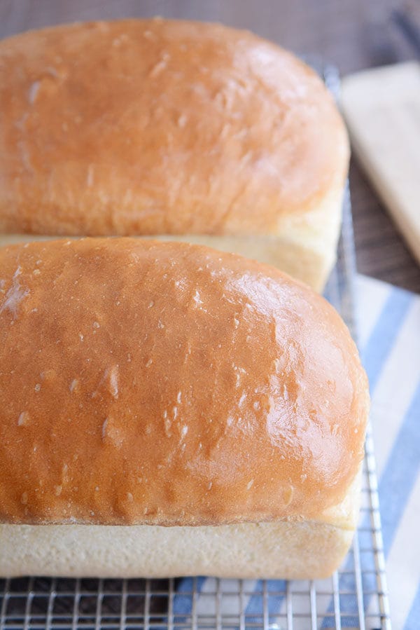 Two loaves of homemade white bread on a cooling rack.