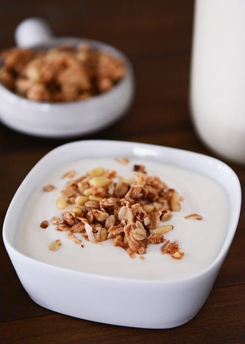 A bowl of homemade yogurt topped with granola. 