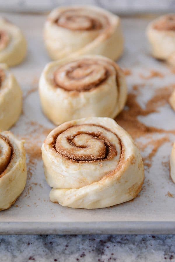 Uncooked cinnamon rolls on a cookie sheet. 